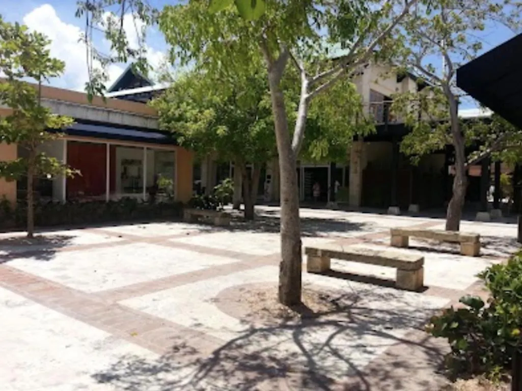 Apartment Lovely And Spacious Fully Equipped Condo In Cap Cana Punta Cana
